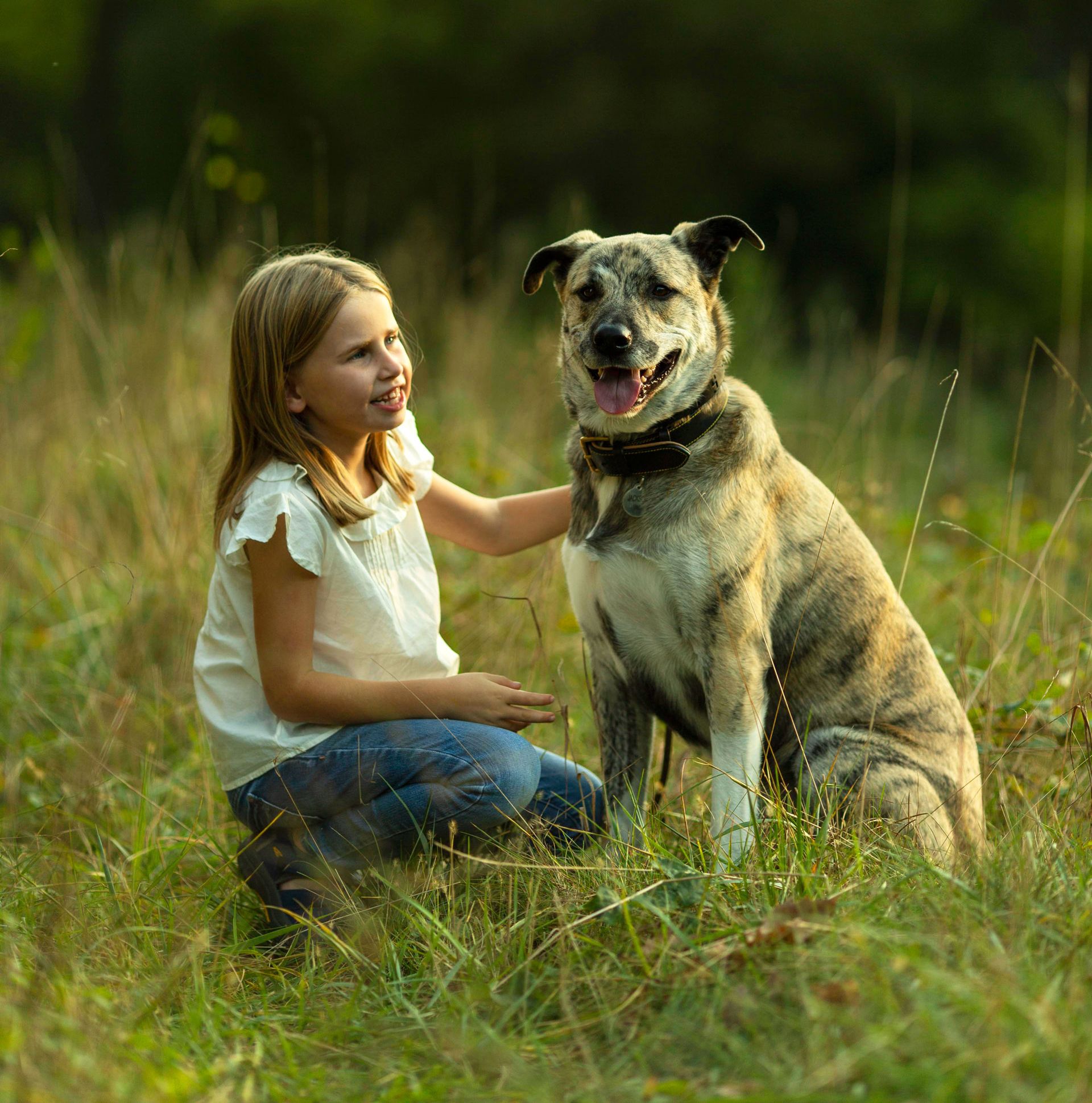 Dog with young child in board and train program at Best Life K9 Training