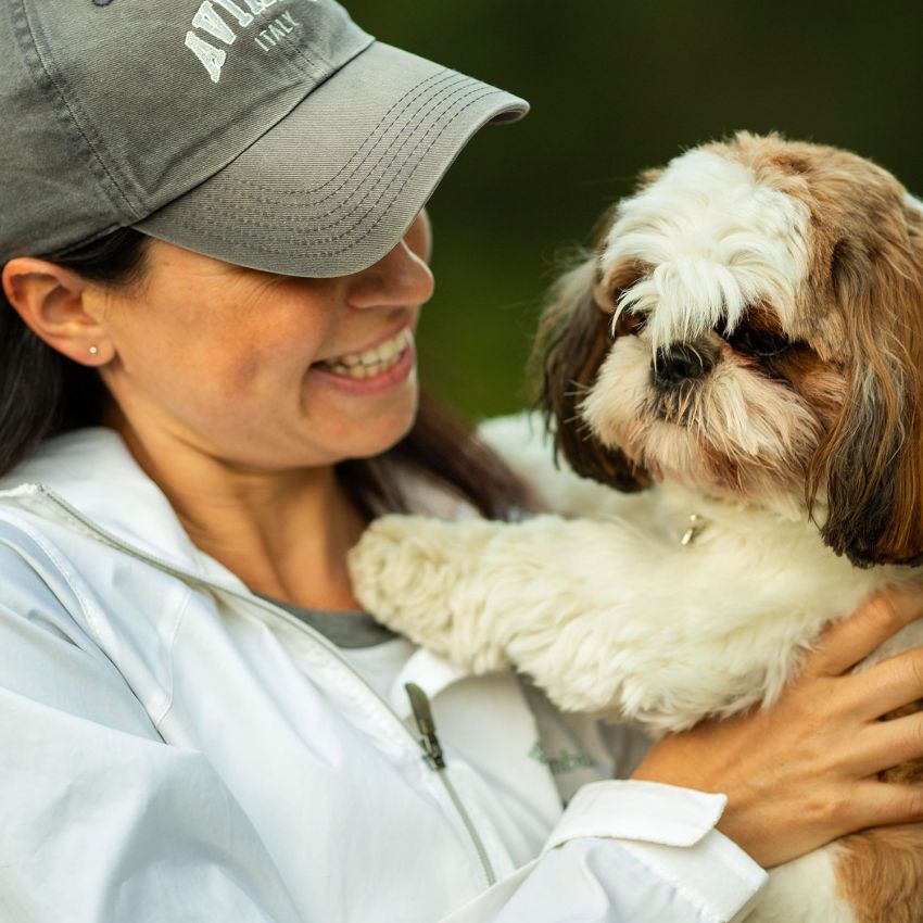Puppy training session teaching basic obedience and structure in Southern Illinois and New Hampshire
