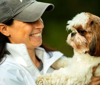 Package of 3 private dog training session focused on obedience and behavior in Trenton Illinois and New Hampshire Seacoast