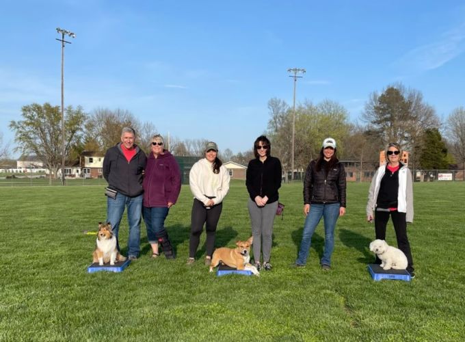 Dogs and owners building real-life skills together in a training community